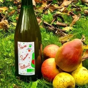 PETILLANT JUS DE POMME POIRE bio - sans alcool - 75 cl -